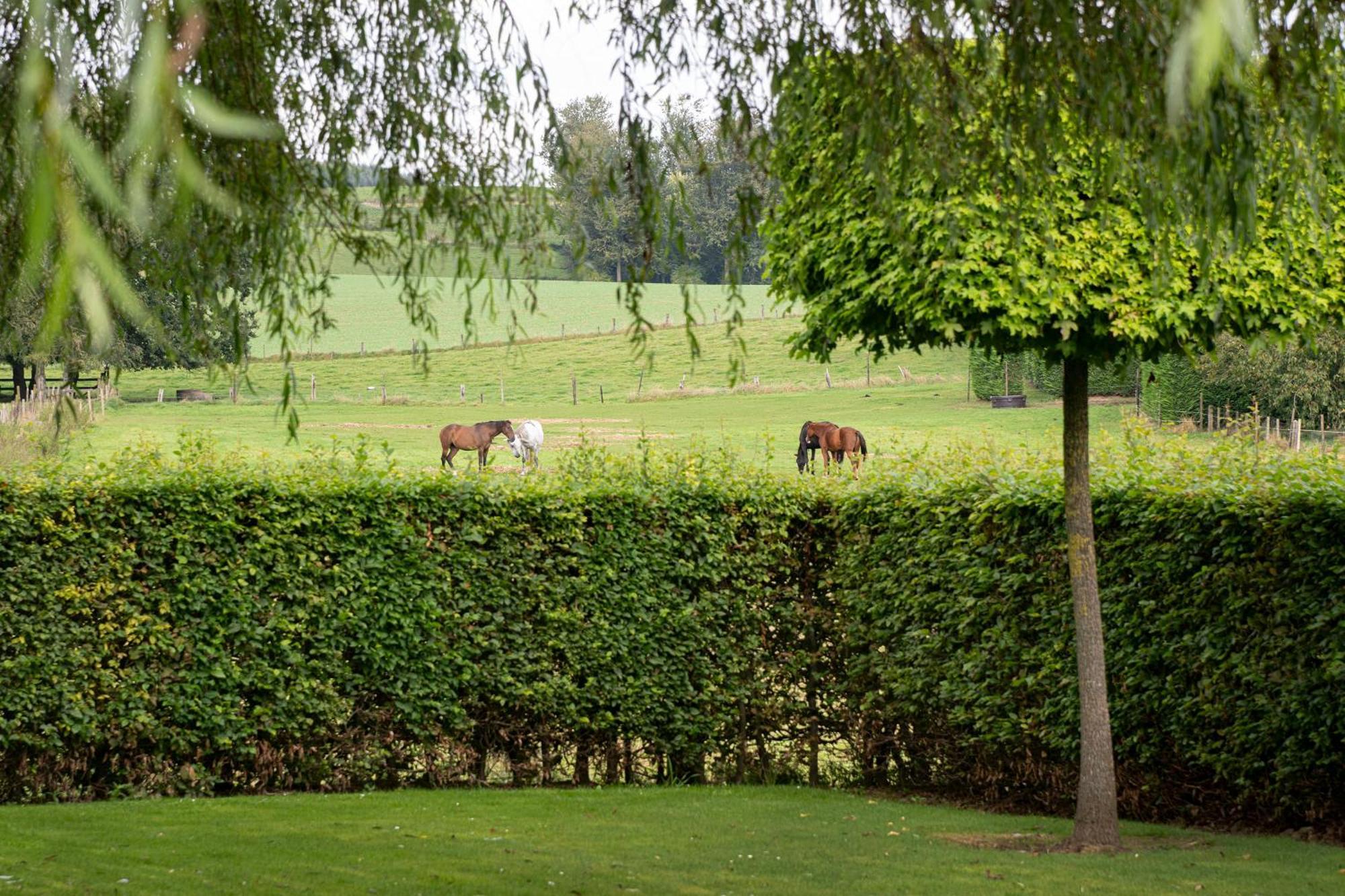 B&B Bertem Natuur Экстерьер фото